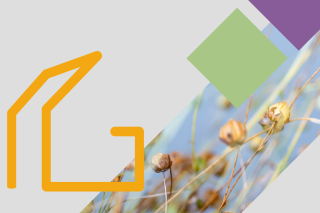 BuildinG, Thuis in de toekomst